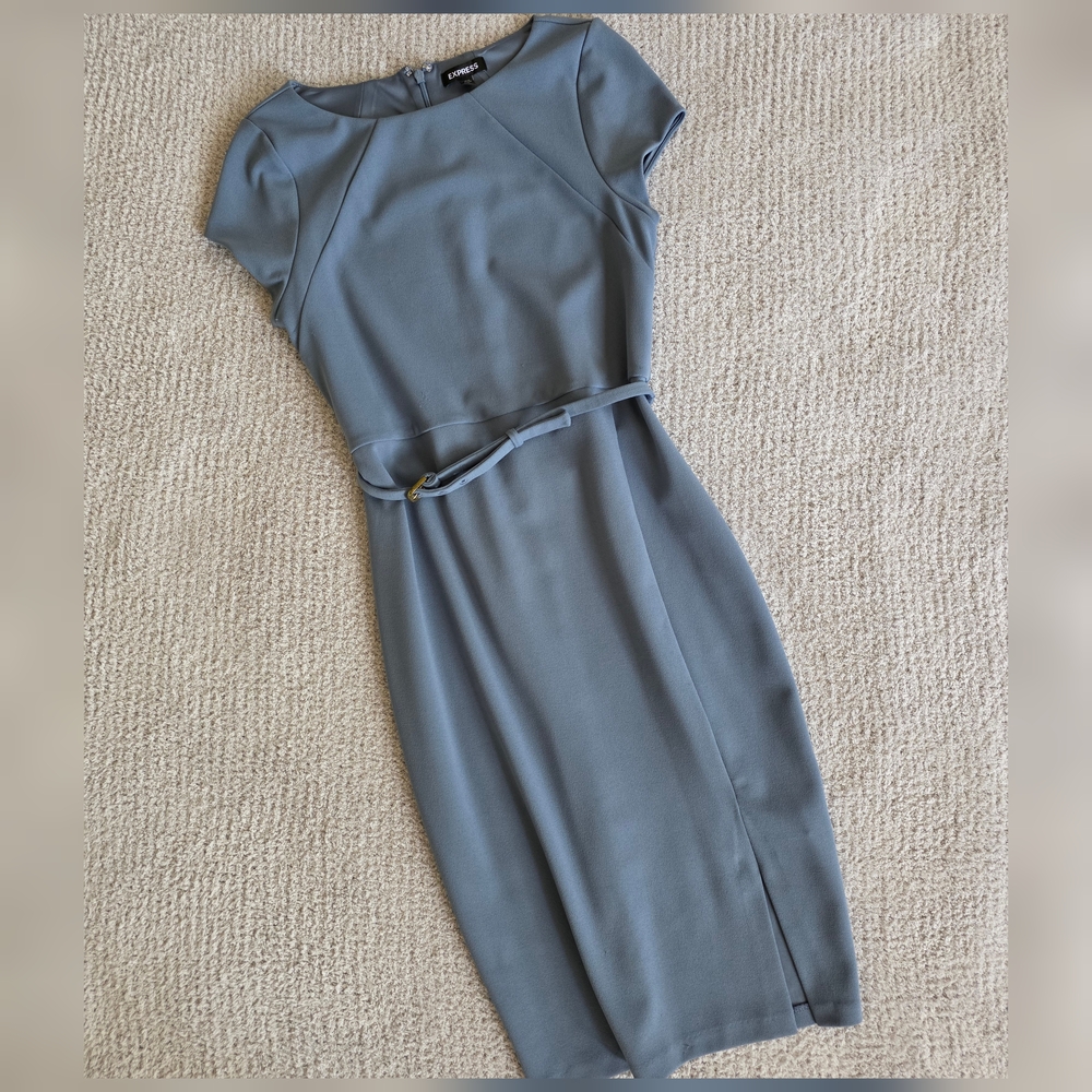 Express Belted Dress